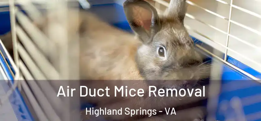  Air Duct Mice Removal Highland Springs - VA