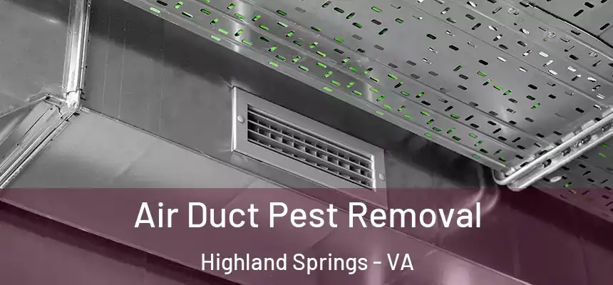 Air Duct Pest Removal Highland Springs - VA