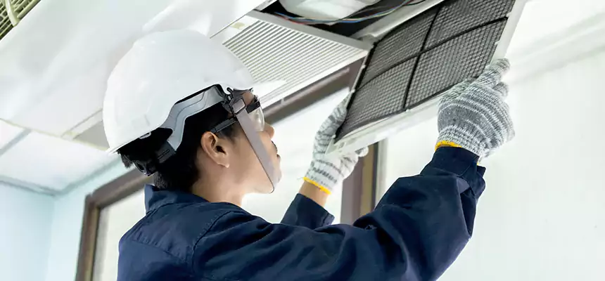 Our Mold & Mildew Removal from Air Ducts Services in Highland Springs, VA