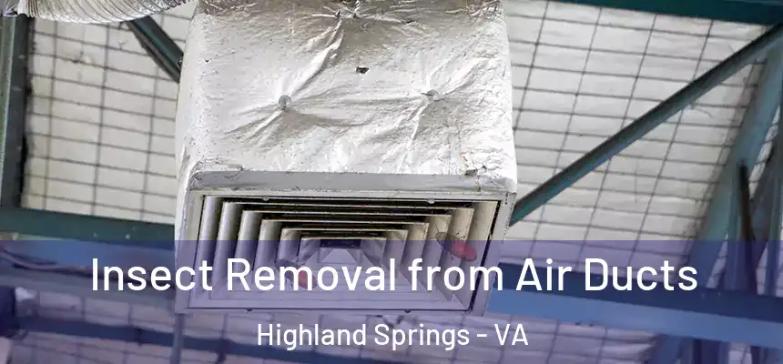  Insect Removal from Air Ducts Highland Springs - VA