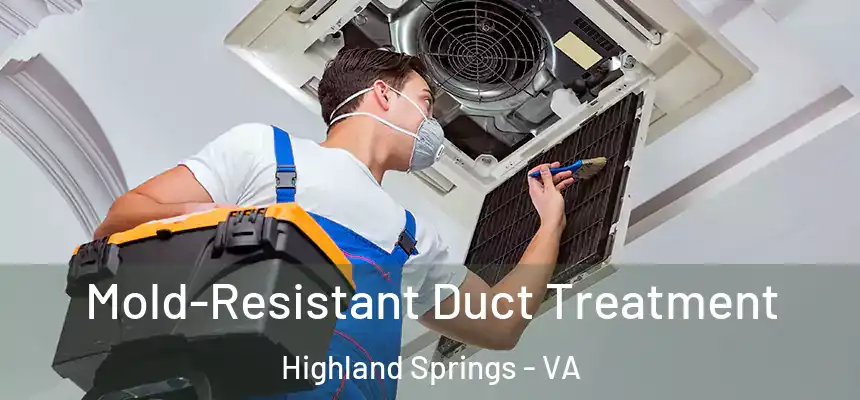  Mold-Resistant Duct Treatment Highland Springs - VA