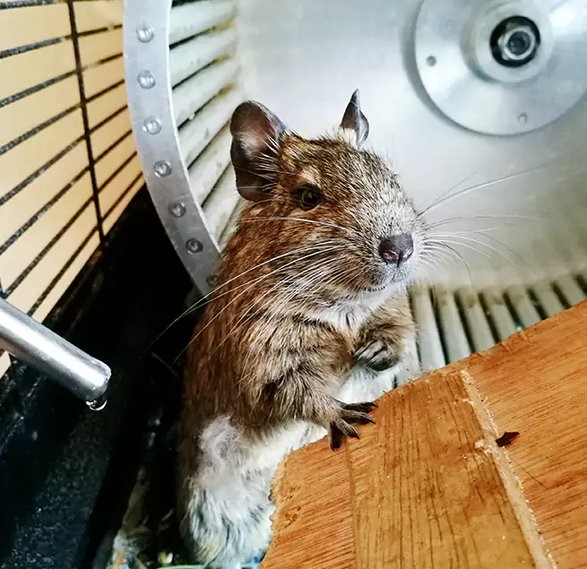 Why Homeowners & Businesses Trust Us Highland Springs, VA?