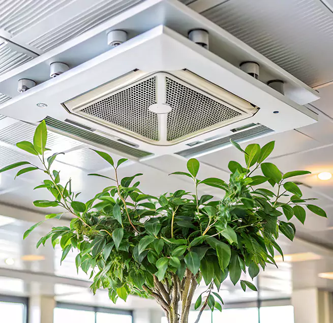 Why Homeowners & Businesses Trust Us in Highland Springs, VA?