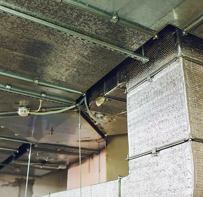 Why Homeowners & Businesses Trust Us in Highland Springs, VA?